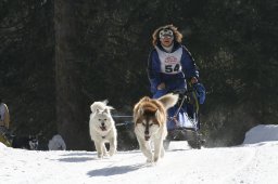 San Bernardino 2008